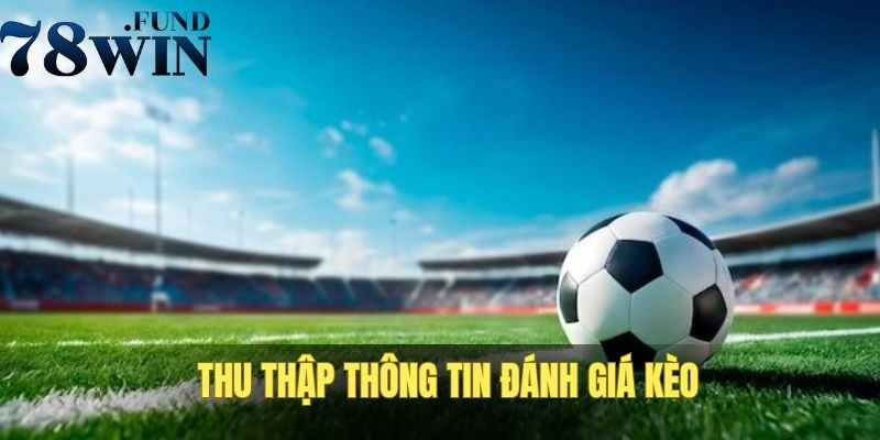 Kèo Handicap Tại Nhà Cái Là Gì? Cách Chơi Cho Newbie Hiểu 3 Thu thập tin bóng đá nóng hổi